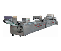 STW-306連續(xù)式洗菜機