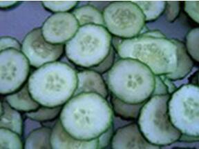 STW-806大型切菜機(jī)